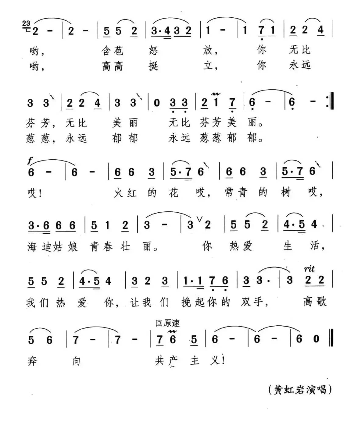 火红的花，常青的树