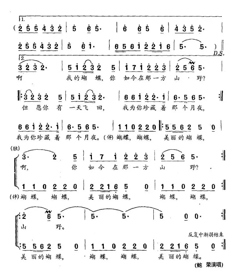 蝴蝶(程义浩词 印青曲)