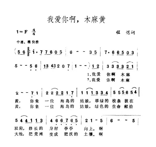 我爱你啊，木麻黄