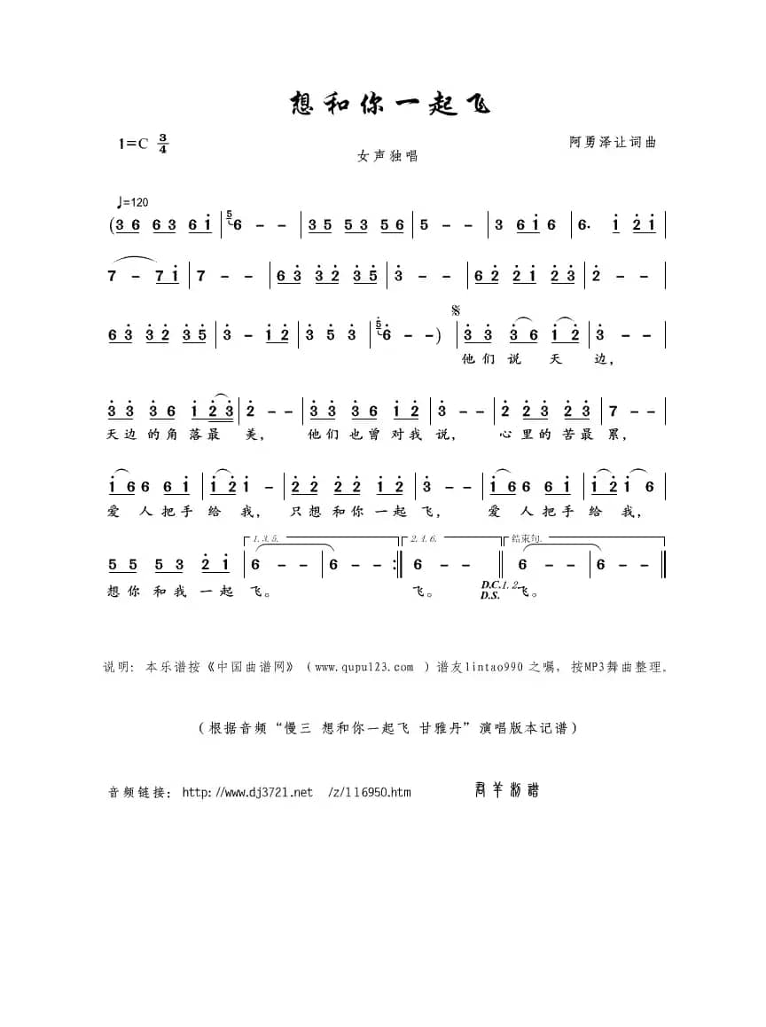 想和你一起飞（阿勇泽让词曲）