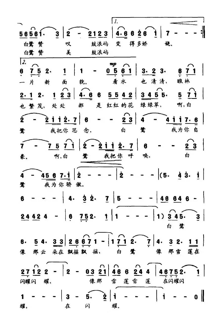 白鹭又飞回来了