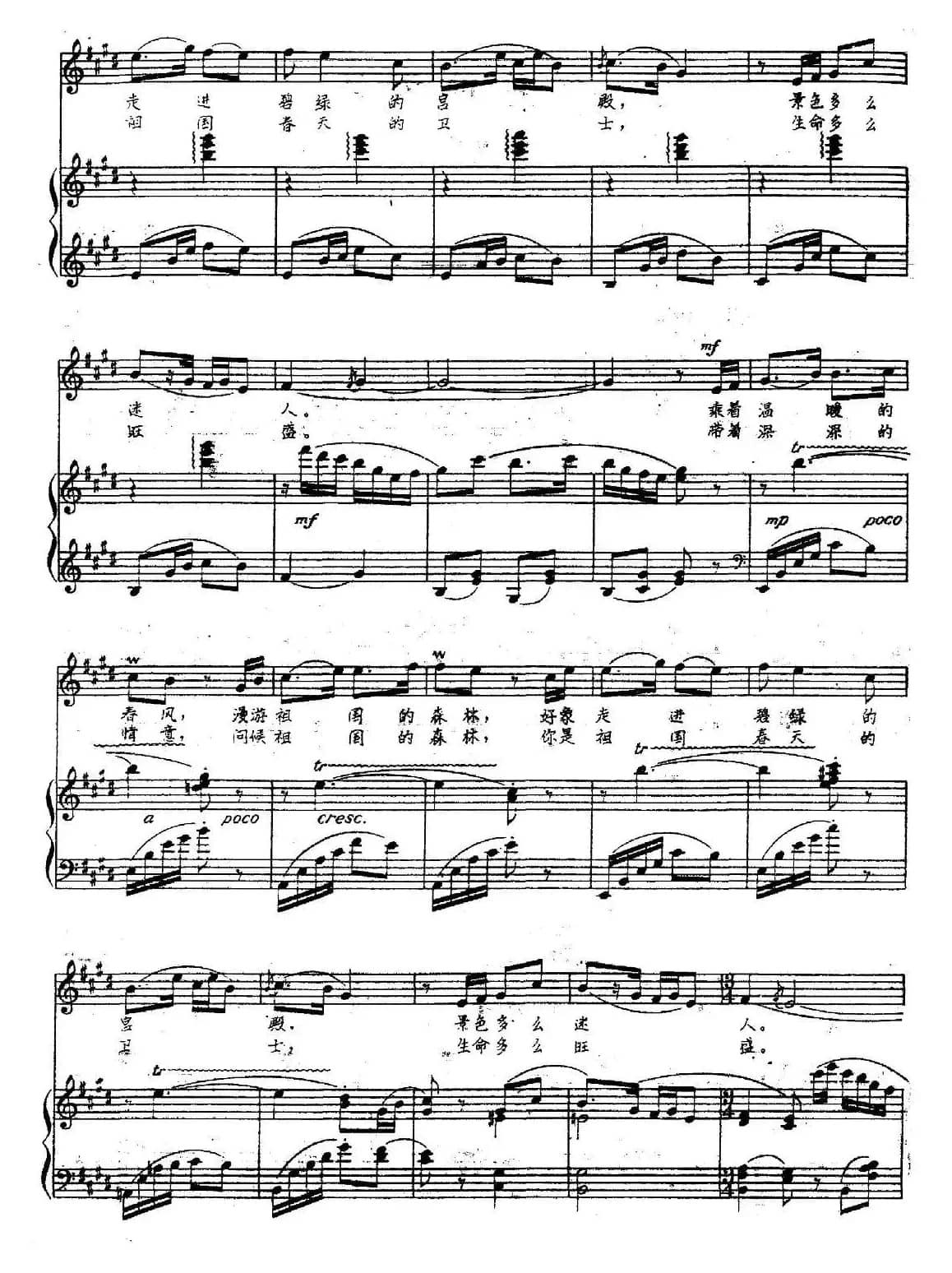 绿色的海洋（正谱）