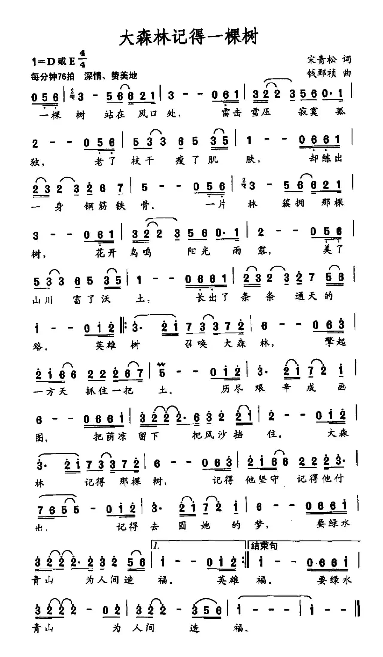 大森林记得一棵树