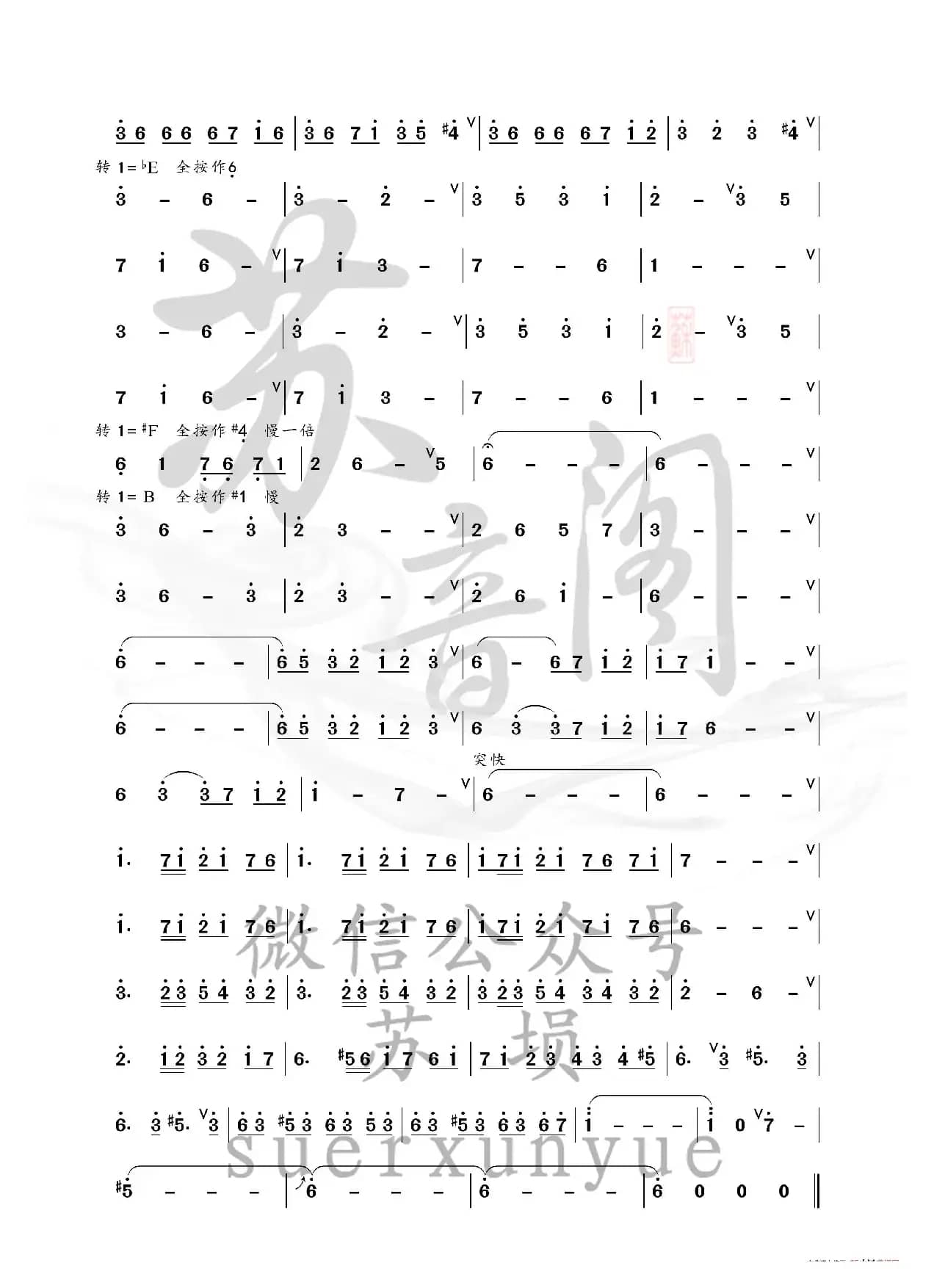 炫境（双腔葫芦埙版）