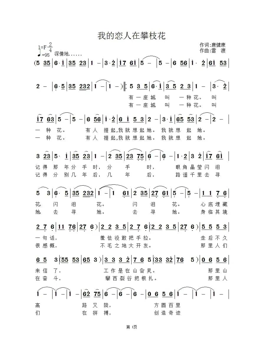 我的恋人在攀枝花