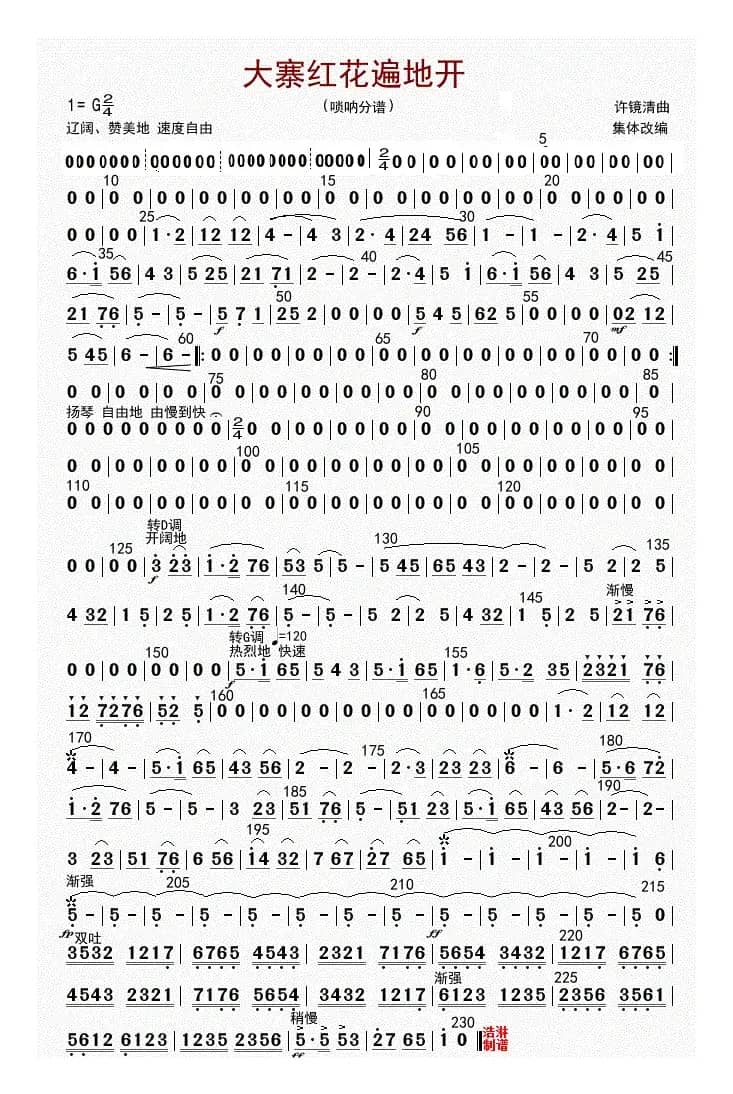 大寨红花遍地开（高音唢呐（修改版））