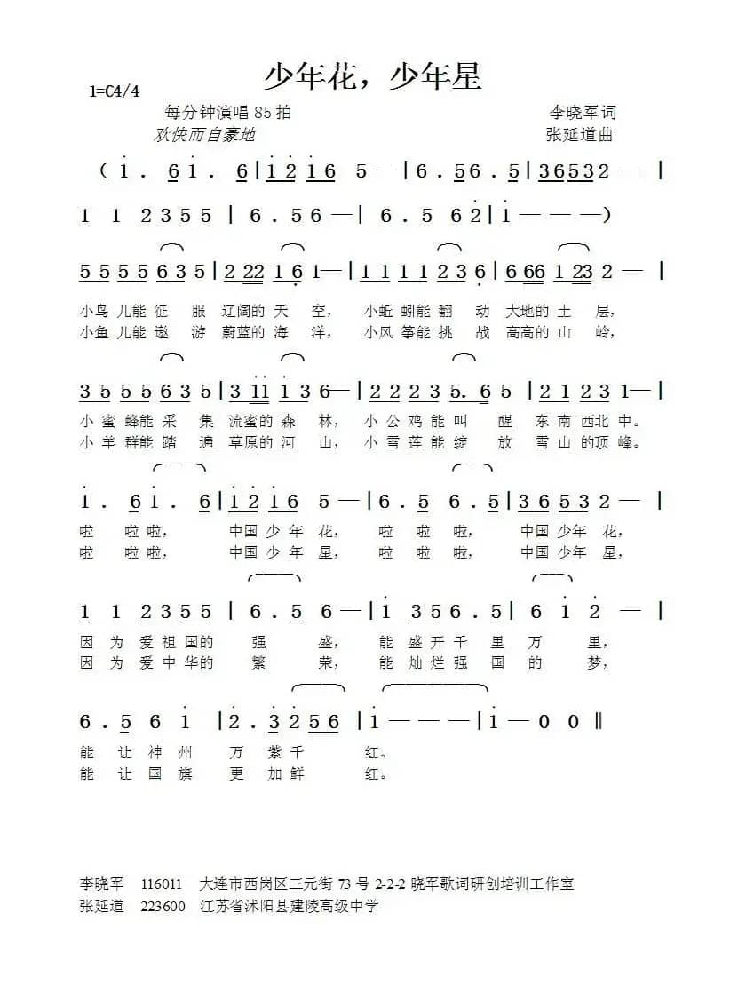 少年花，少年星（李晓军词张延道曲）