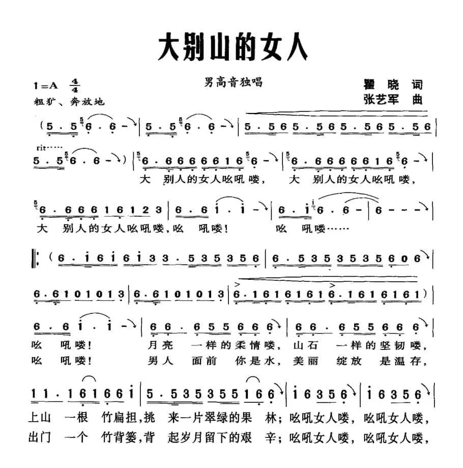 大别山的女人（瞿晓词 张艺军曲）