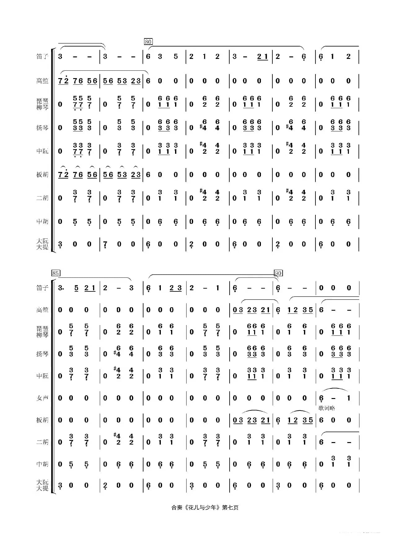 花儿与少年（民乐合奏）