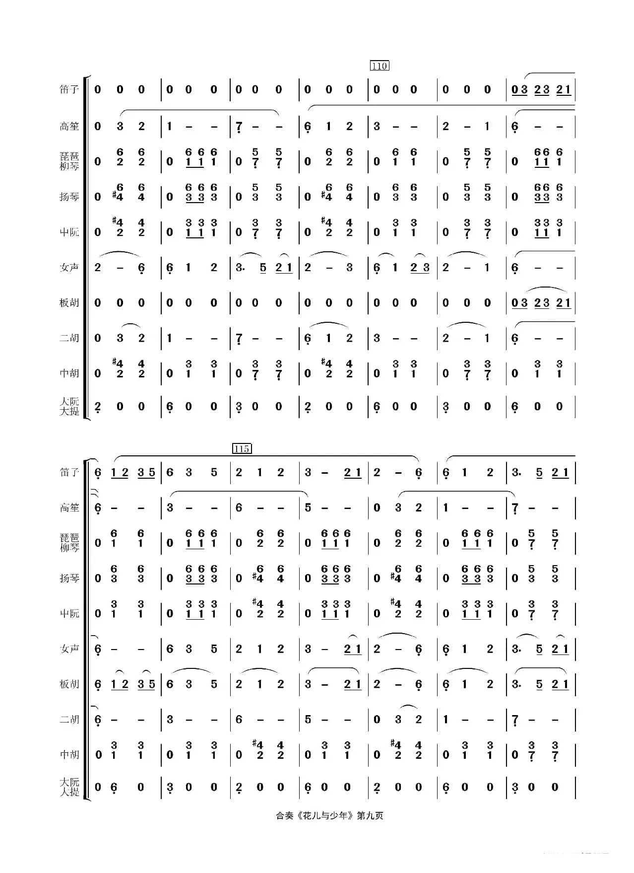 花儿与少年（民乐合奏）