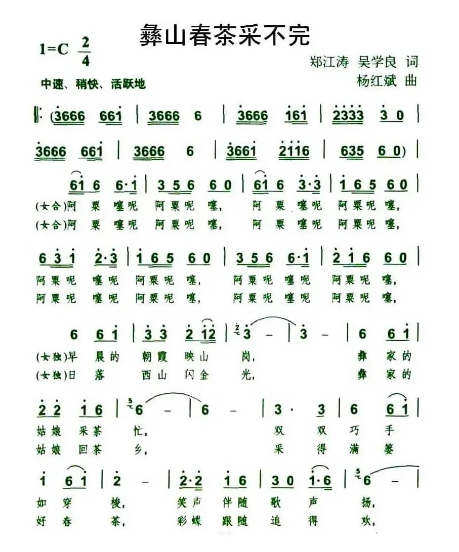 彝山春茶采不完