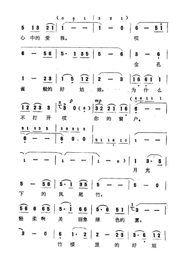 月光下的凤尾竹