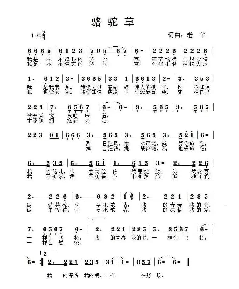 骆驼草（老羊 词曲）