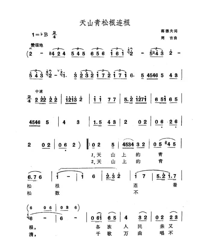 天山青松根连根