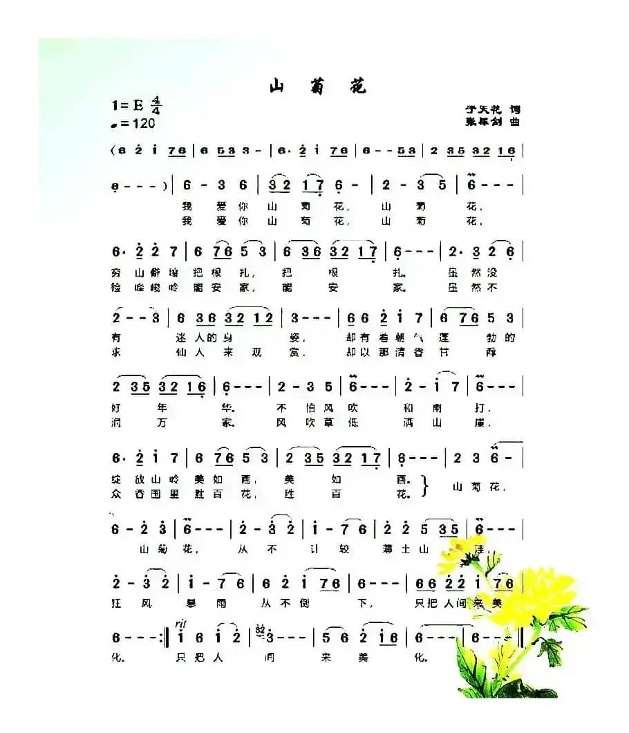 山菊花(于天花词 张犀剑曲)