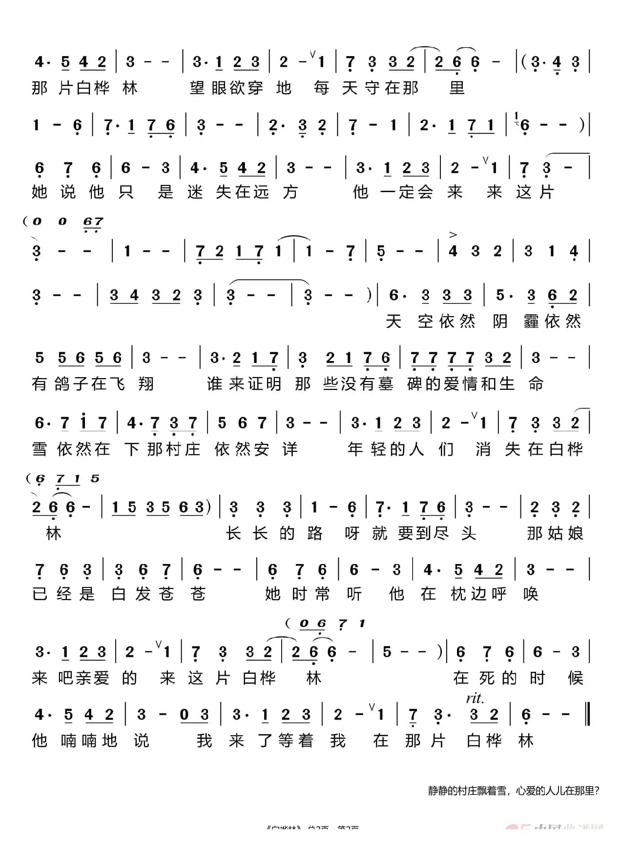 白桦林（王彦霖）