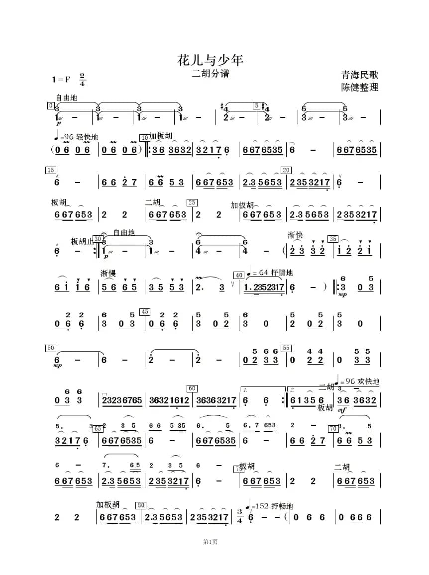 花儿与少年（民乐合奏）