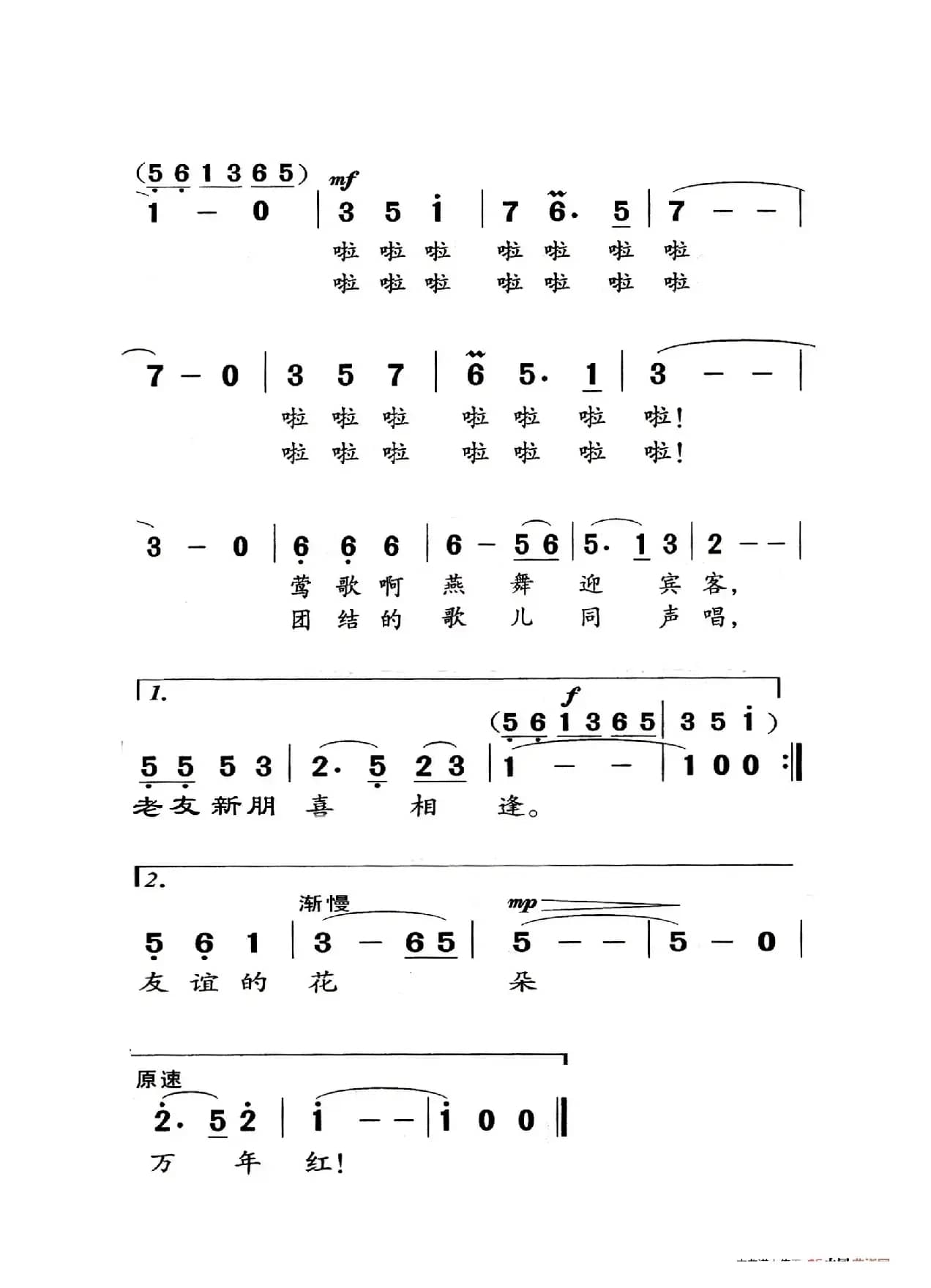 洁白的羽毛寄深情（老人适用）
