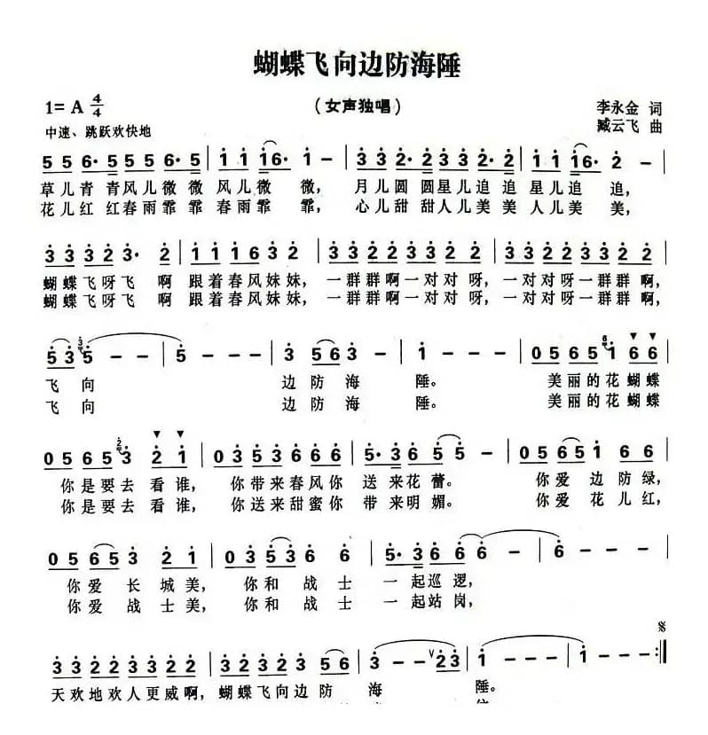 蝴蝶飞向边防海陲