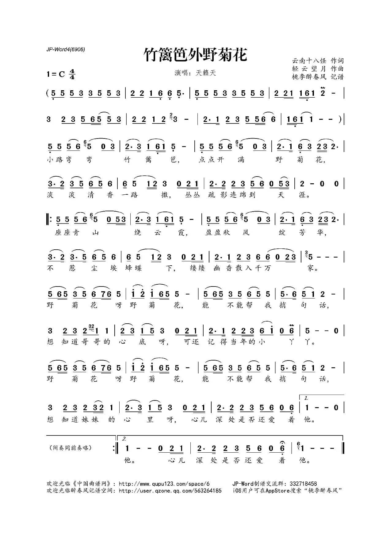 竹篱笆外野菊花