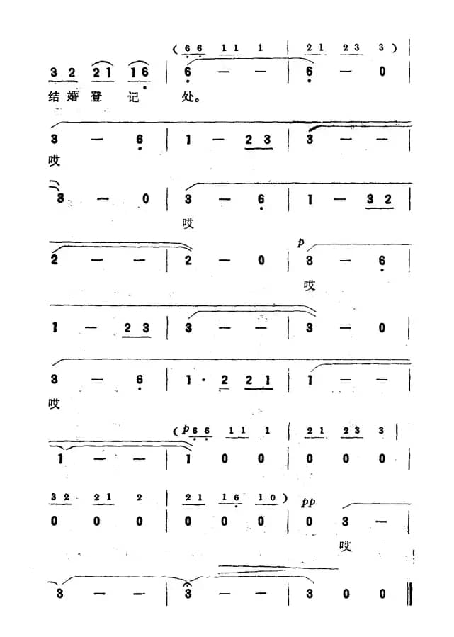 月光下的凤尾竹