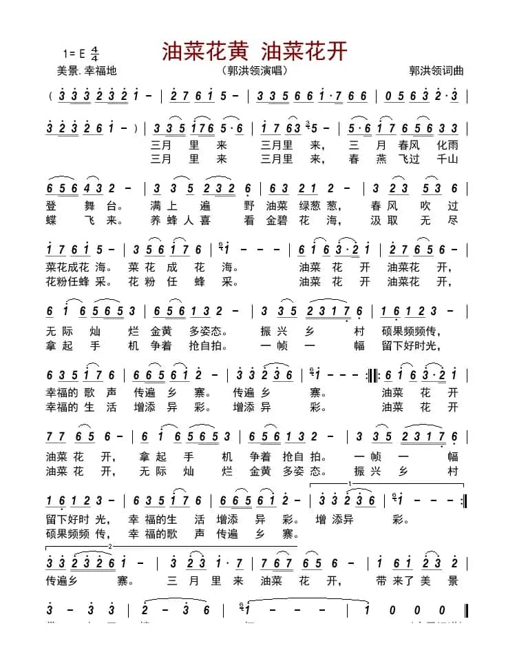 油菜花黄 油菜花开     