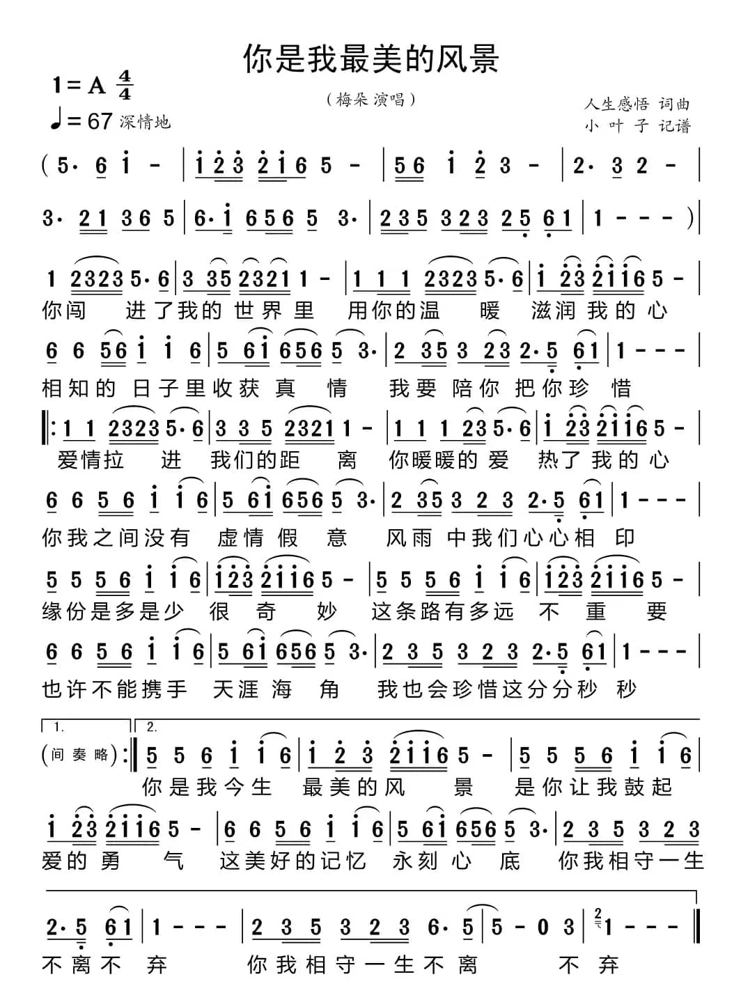 你是我最美的风景