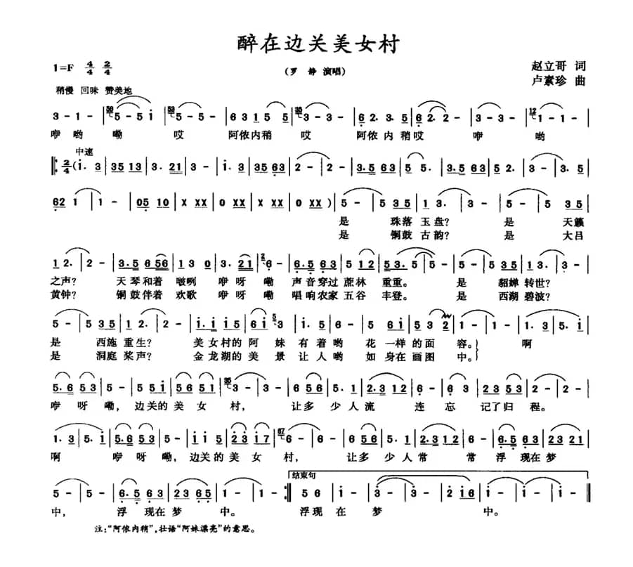 醉在边关美女村