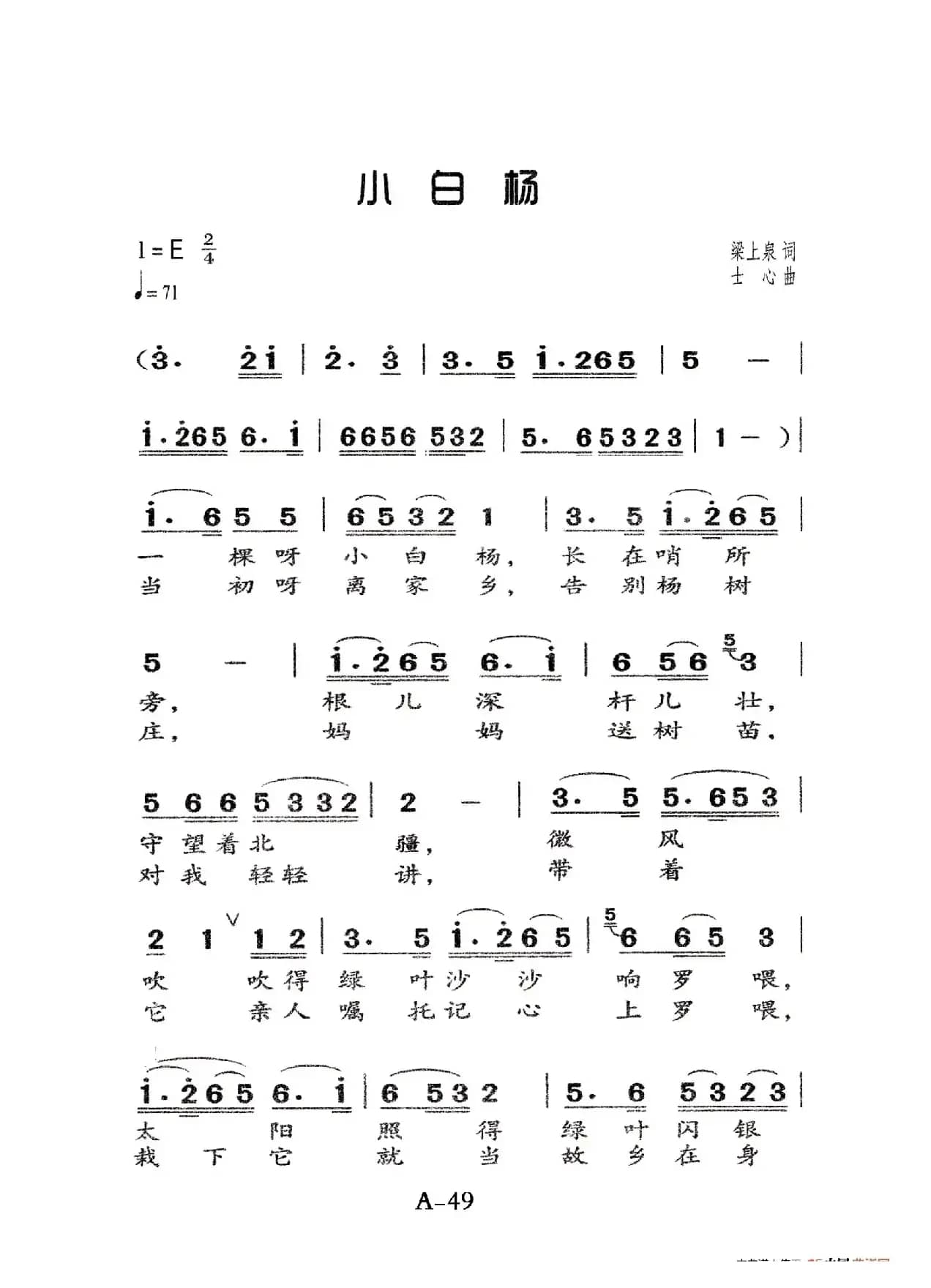 小白杨（老人适用）