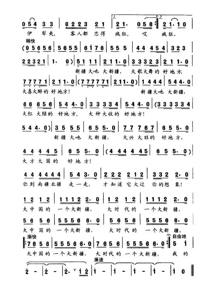 大中国的一个大新疆