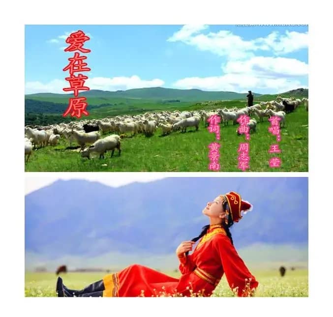 爱在草原(黄景南词 周志军曲)