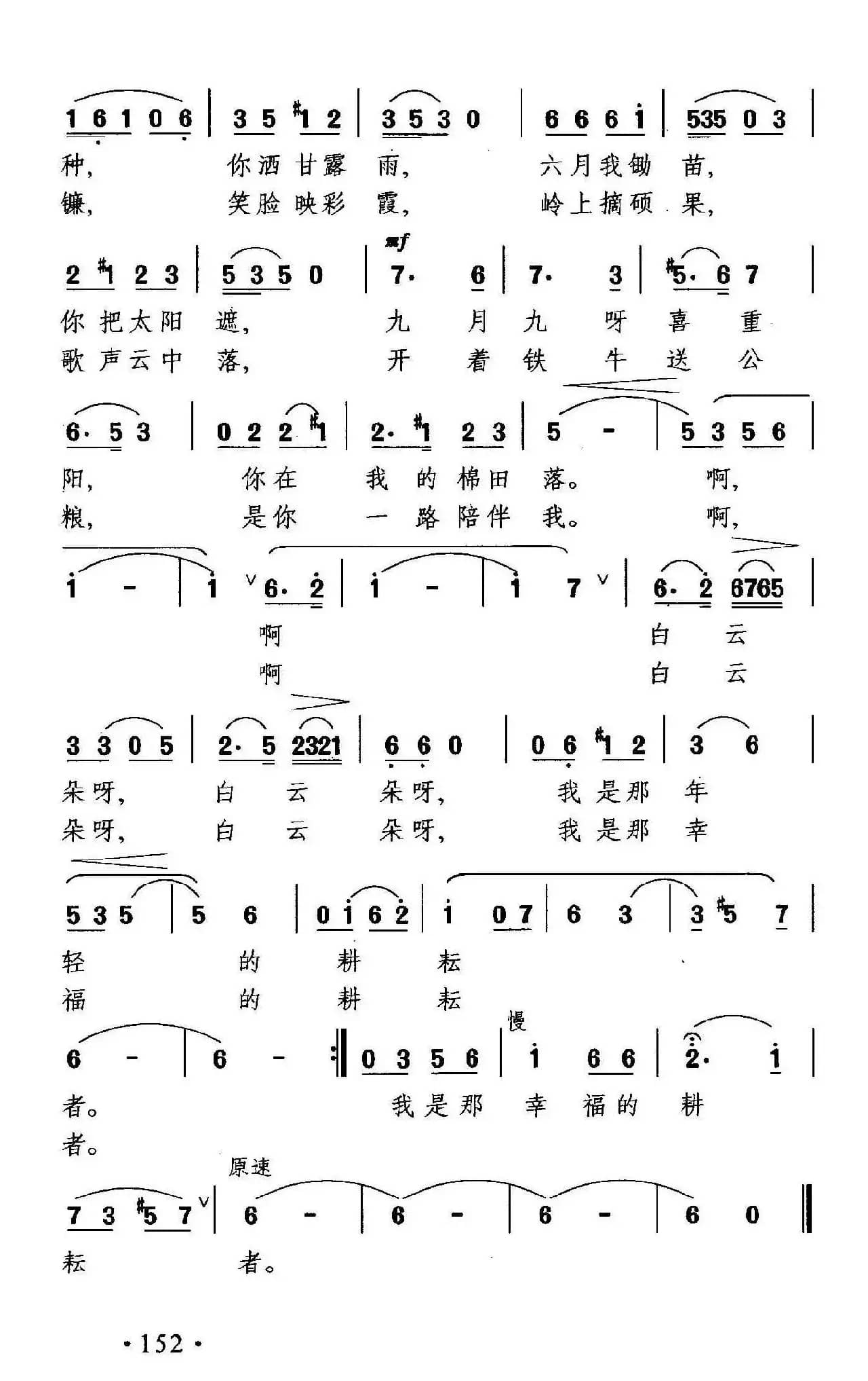 我是年轻的耕耘者