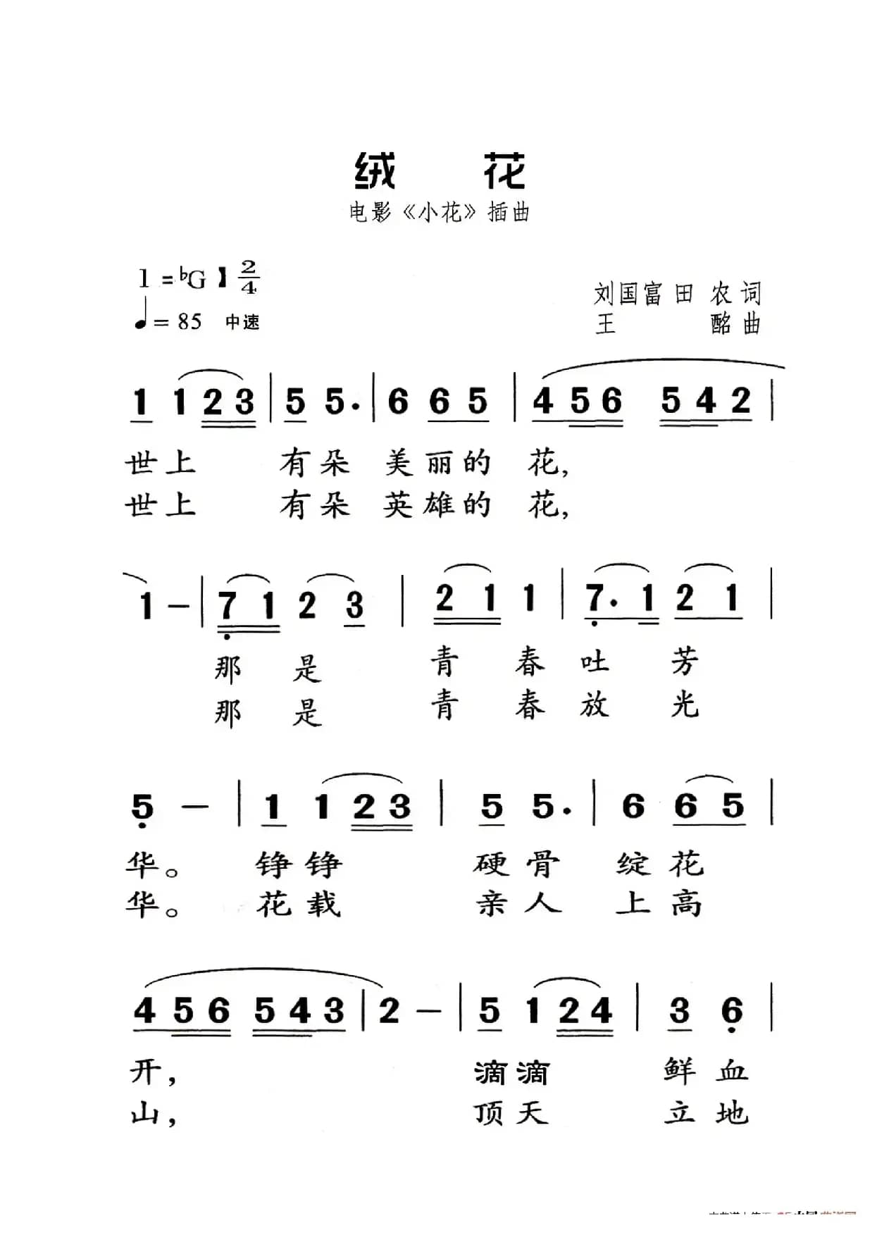 绒花（老人适用）