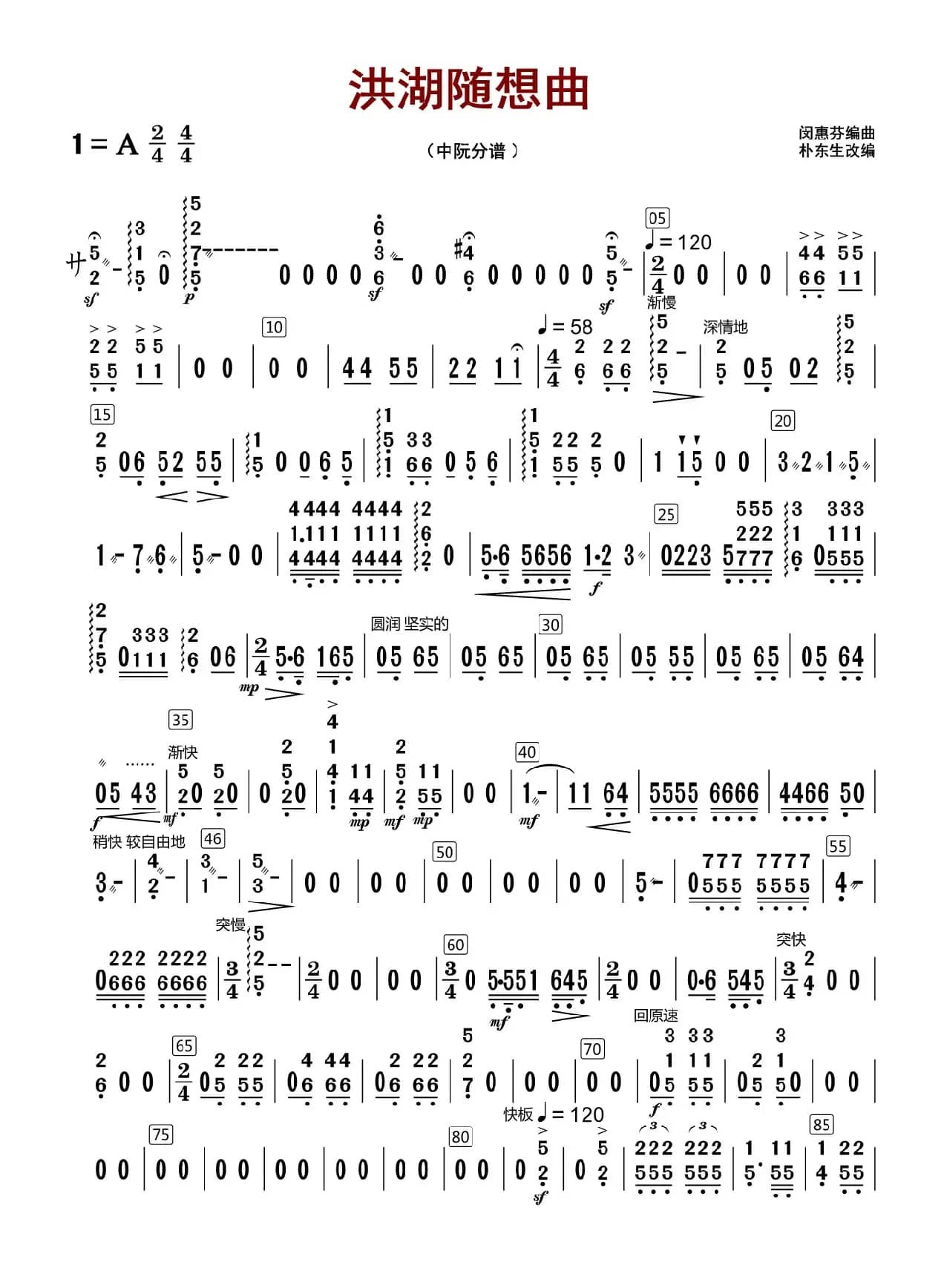洪湖随想曲（中阮分谱）