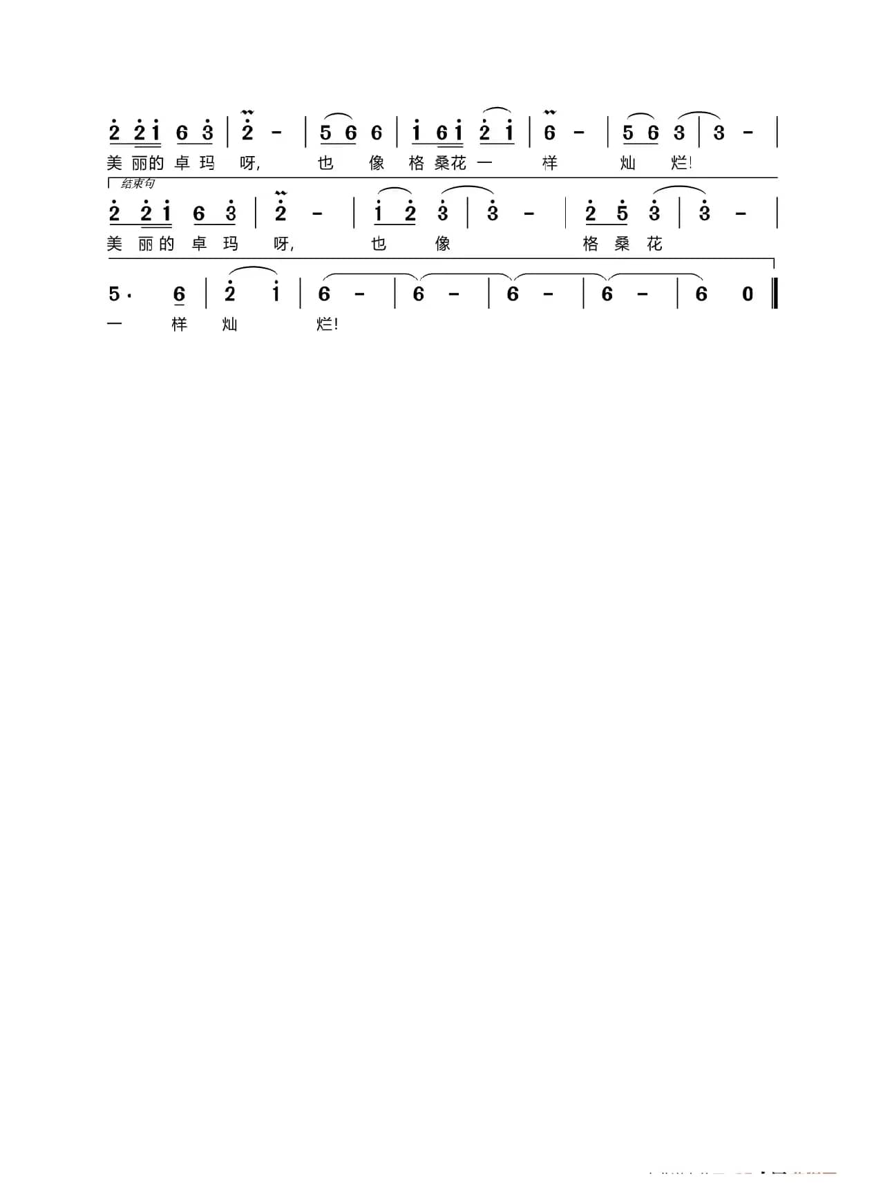 卓玛像格桑花儿一样灿烂