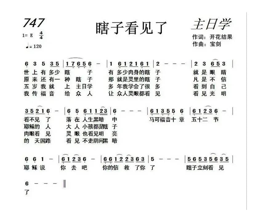 747 瞎子看见了（开花结果词 宝剑曲）
