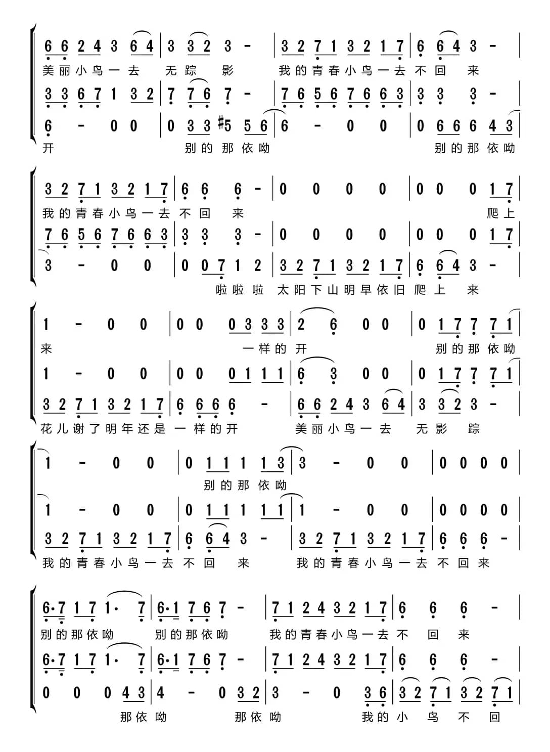 青春舞曲（梦之旅组合）