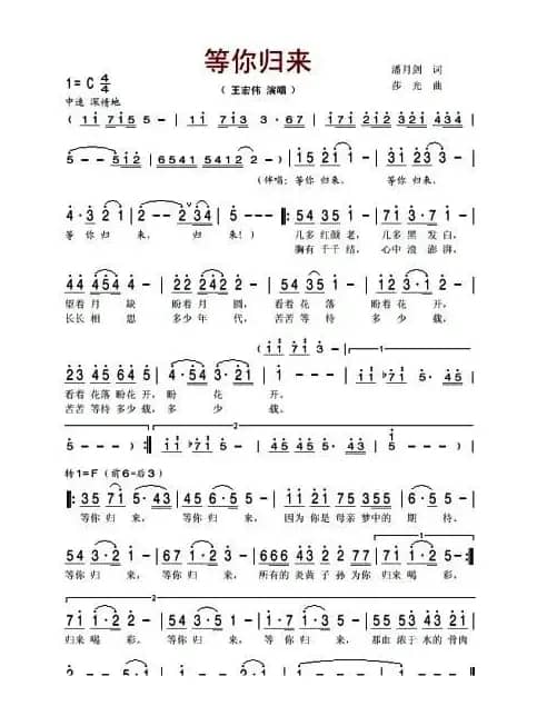 等你归来（王宏伟演唱版）