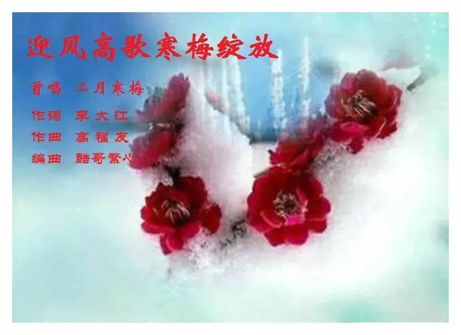 迎风高歌寒梅绽放