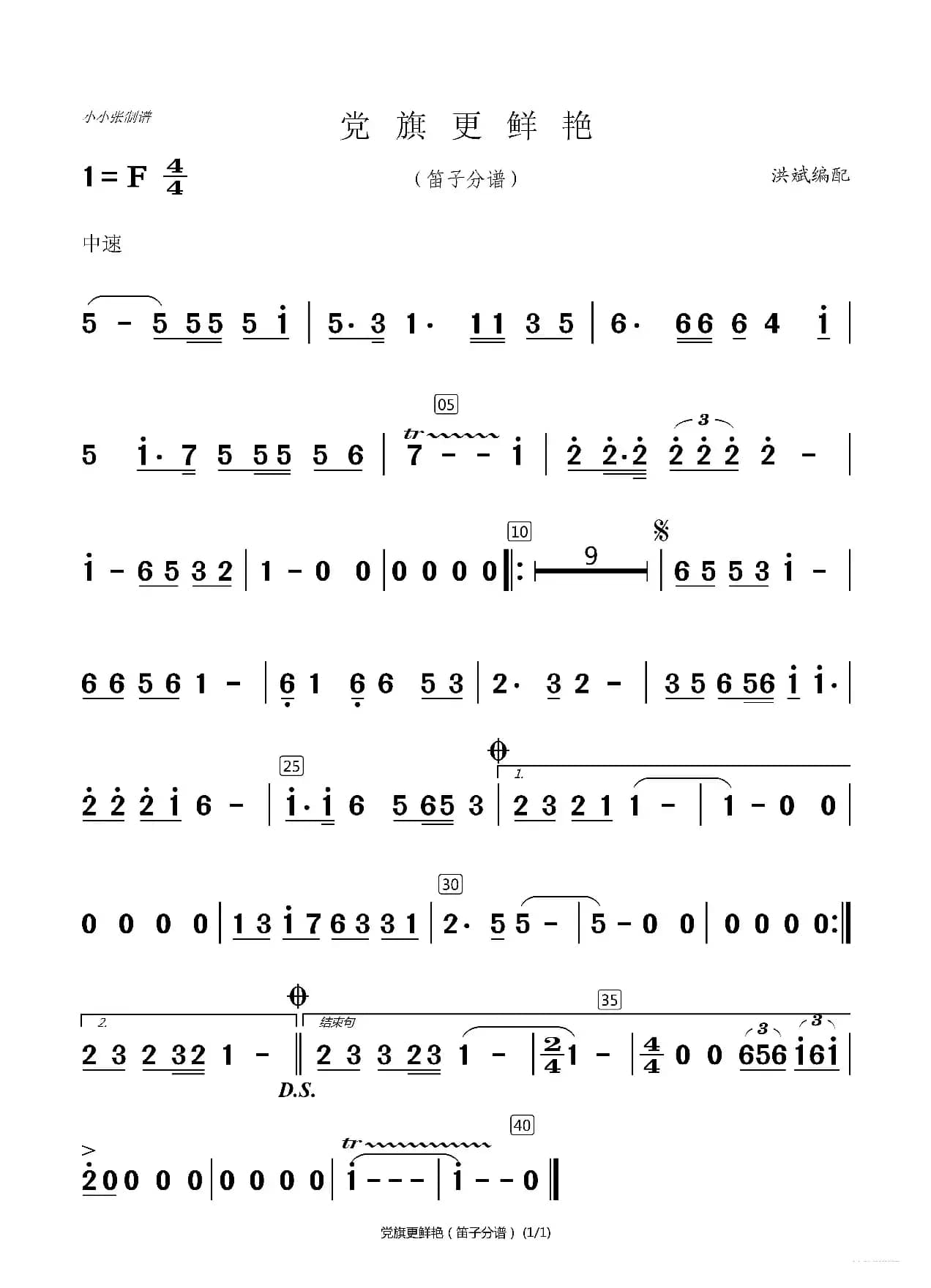 党旗更鲜艳（洪斌配器分谱）（小小张制谱）