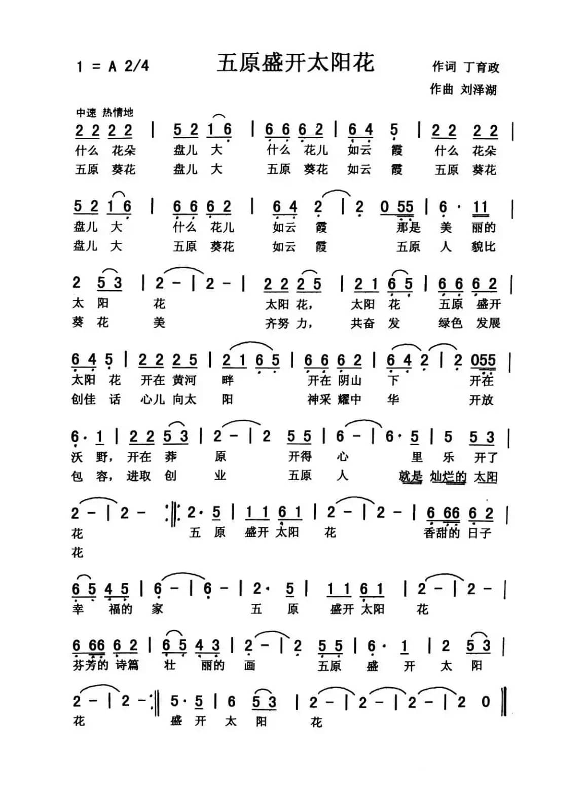 五原盛开太阳花（佩芳 常榕）