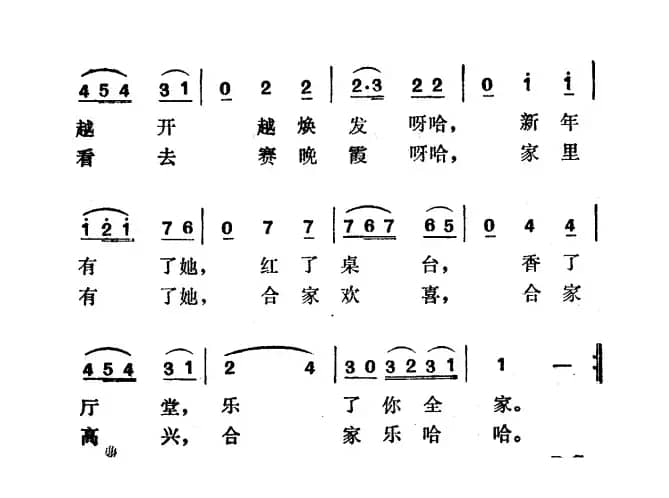 请买一束合欢花