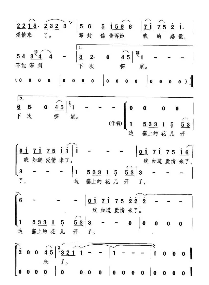 边寨上的花儿开了