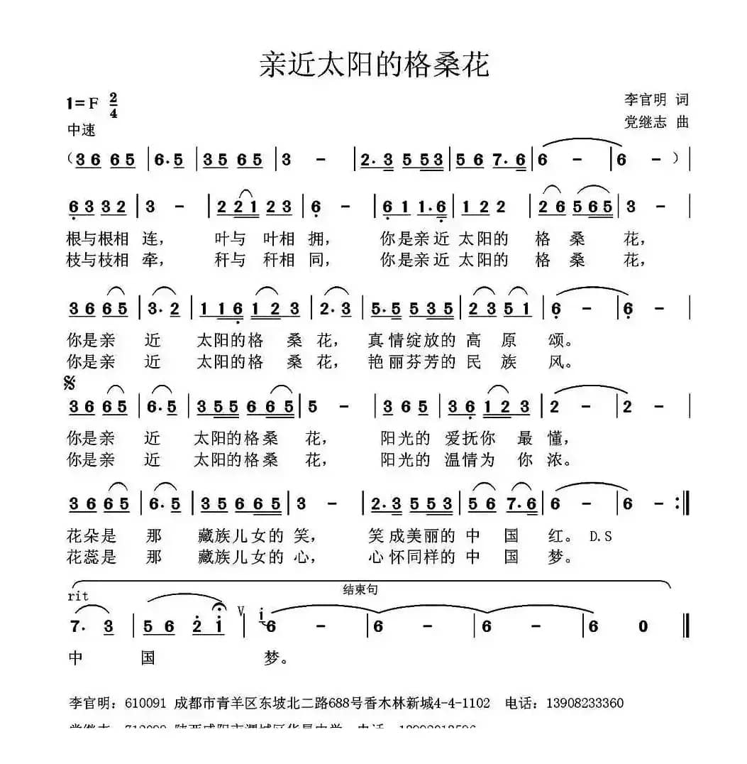 亲近太阳的格桑花 