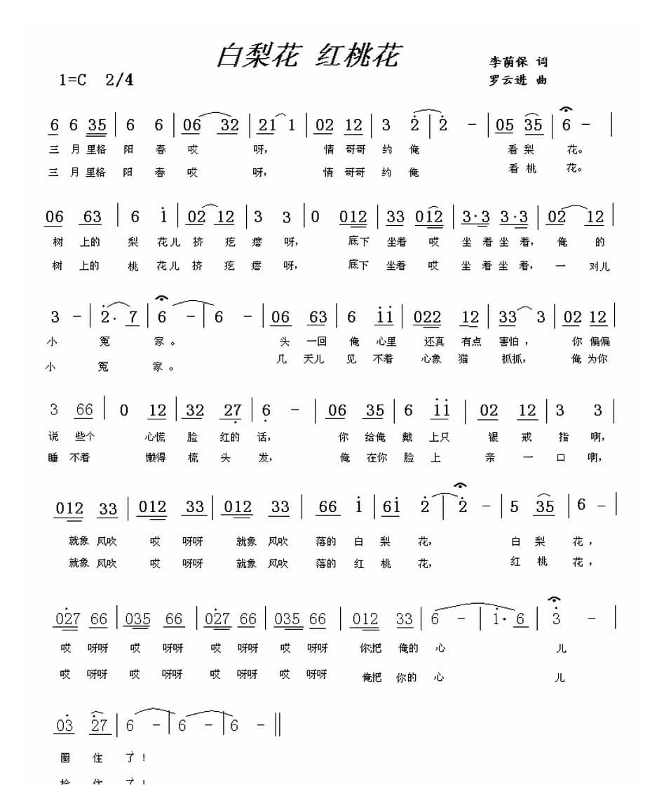 白梨花 红桃花（罗云进曲）