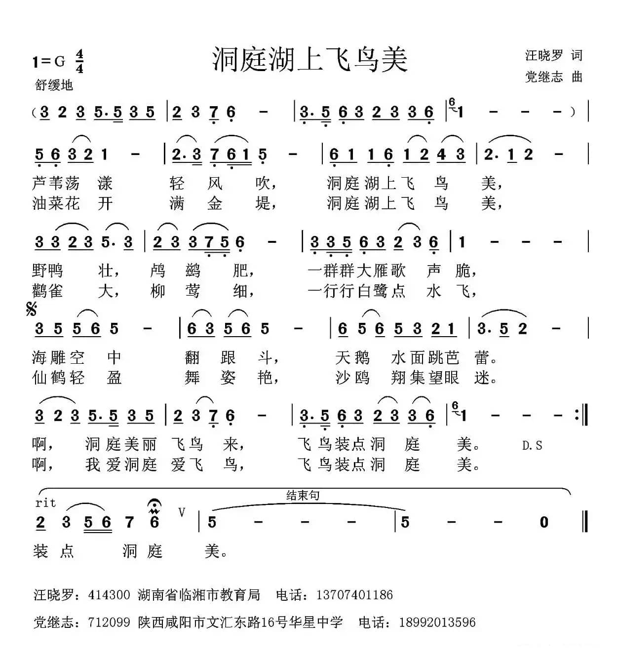 洞庭湖上飞鸟美 