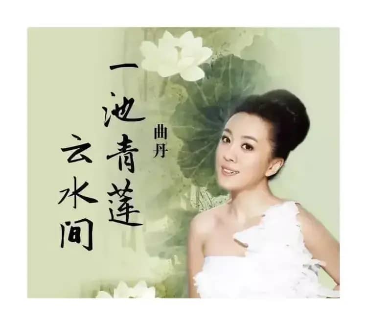 一池青莲云水间