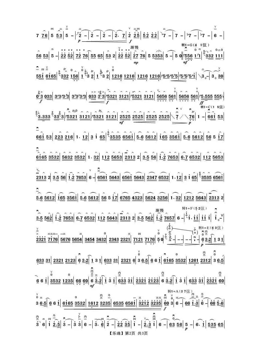 乐魂（二胡名曲联奏）