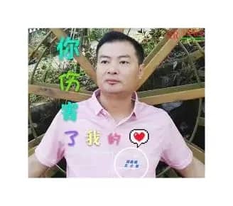 你伤害了我的心