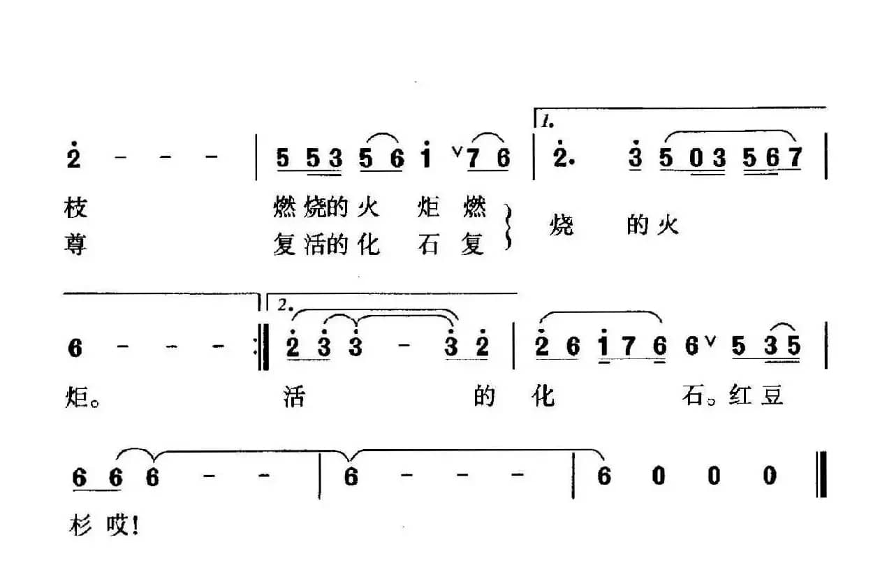 铜钹山上红豆杉